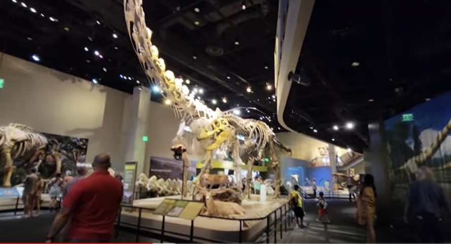 Perot Museum