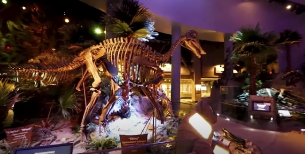The Dinosphere, featuring real dinosaur fossils and paleontological activities