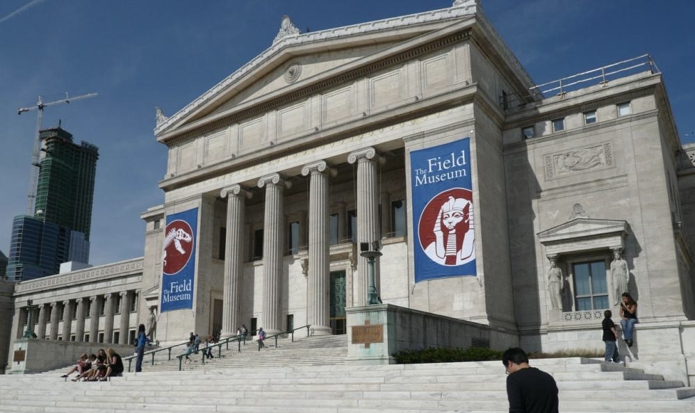 Exploring the Field Museum in Chicago