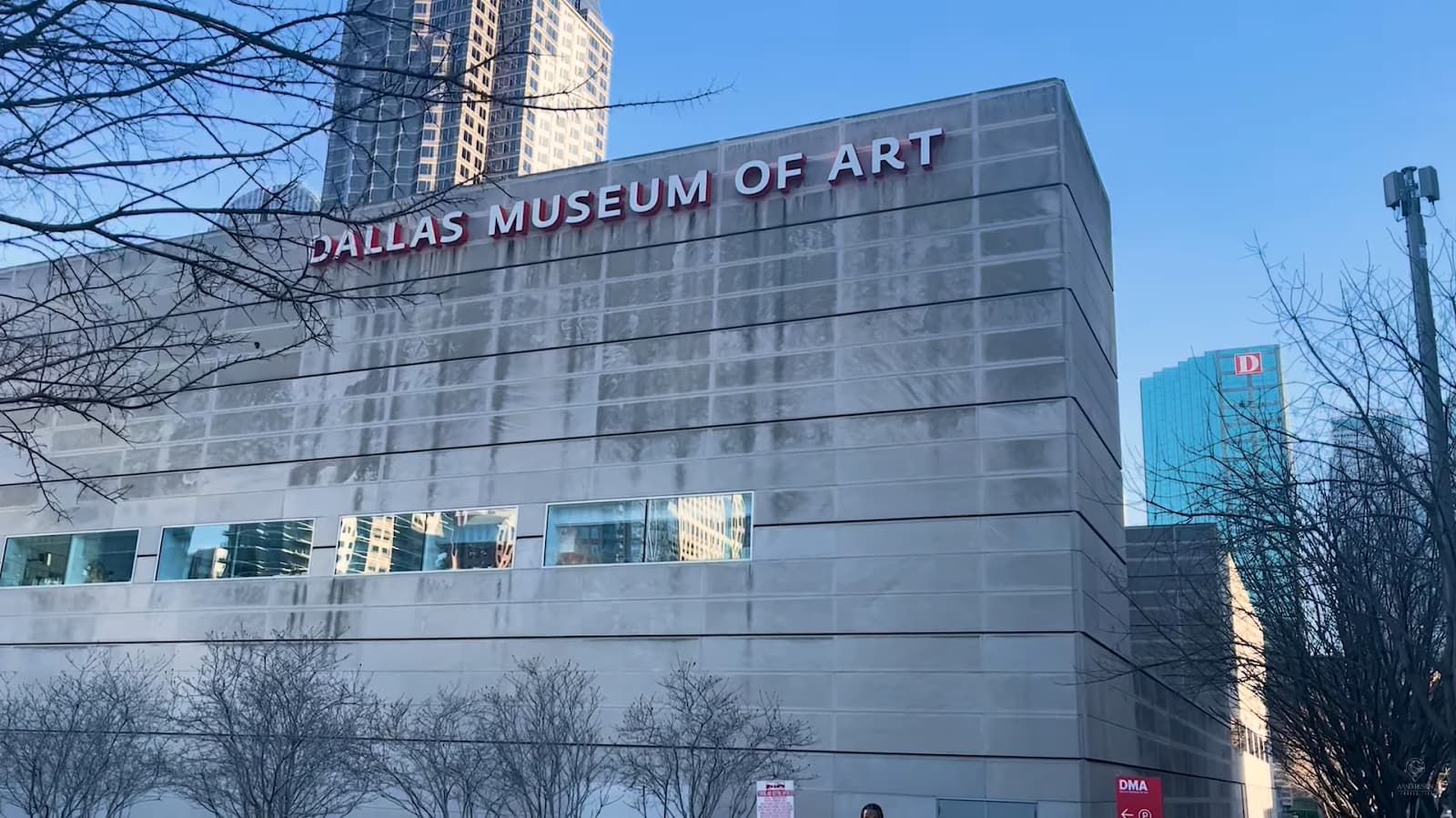 A Visitor’s Guide to the Dallas Museum of Art