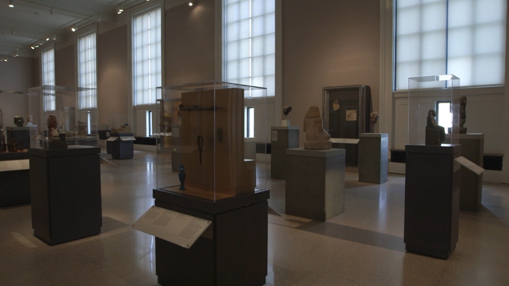 Interior of a museum gallery with artifacts displayed in glass cases